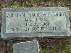 rootsweb.ancestry.com Saulisbury