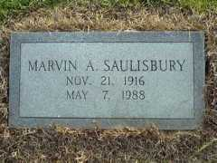 rootsweb.ancestry.com Saulisbury