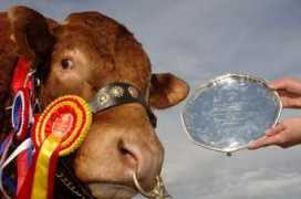 crawfordbrothers.co.uk Sauvignon