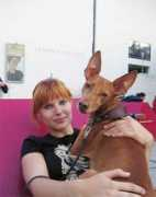 iosonocirneco.com Saverian