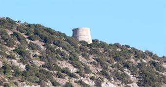 soloibiza.com Savinar