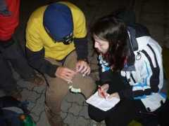 atrey.karlin.mff.cuni.cz Savlik