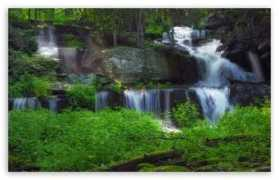 Sawkill