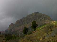 Sayedahmed