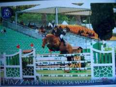 heymanstables.com Saygon