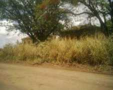 estacoesferroviarias.com.br Sbento