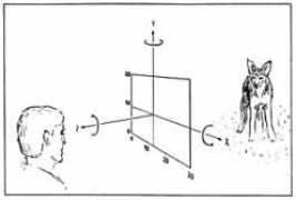 krist.uni-freiburg.de Schakal