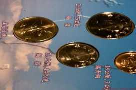 forum.mflenses.com Scheim