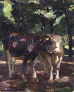 Schellerer