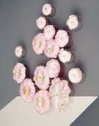 Scheltens