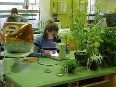 35.9.122.184 Scoping