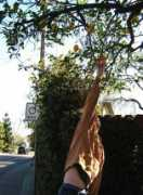 meganbutcher.com Scrump