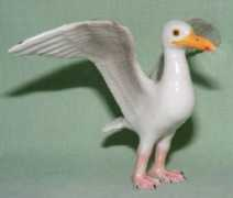 Seagull