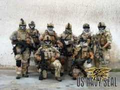 Sealteam