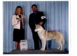 leighthousekennels.com Seasi