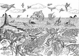 vietnamnet.vn Sebria