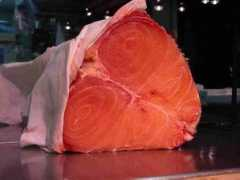 uomasu.co.jp Sebushi