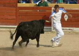 Sedeno