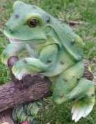 coolgardenstuff.com Seey