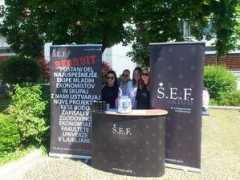 Sef