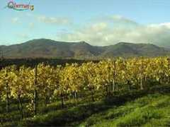 pasdagence.com Seilly
