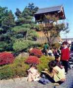 plus-kun.com Sekineh