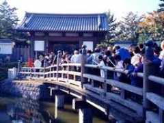 plus-kun.com Sekineh