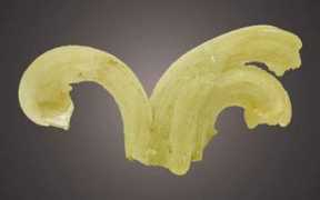 geologicdesires.com Selenite