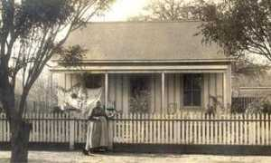 nnvesj.org Selestina