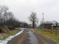 vedomosti-ural.ru Selskaya