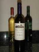 3wineguys.com Senorans