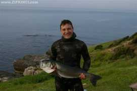 zipkinci.com Serhati