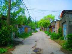 theglobeandmail.com Sernoskie