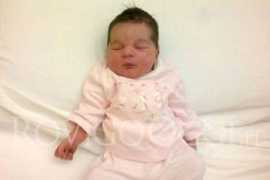 rovigooggi.it Settini