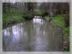 Seugne