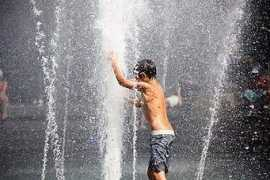 treehugger.com Sfinarolakis