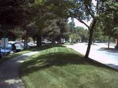 Shadylane