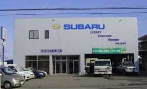 cty8.com Shaei