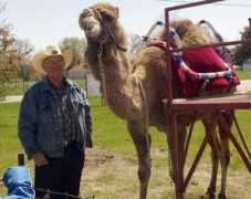 thedailynews.cc Shalemar