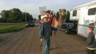 thedailynews.cc Shalemar