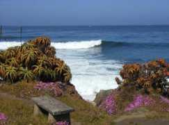 shamalah.com Shamalah