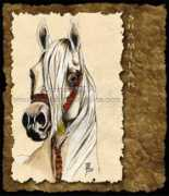 anne.piola.free.fr Shamilah