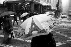 forum.asuult.net Shantiom