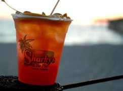 Sharkys