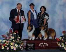 silvertrailsshelties.com Shelties