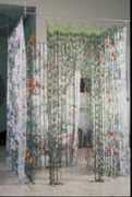 Shenasa
