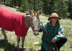 Sheridy