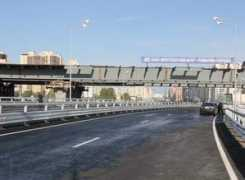 saint-petersburg.ru Sherkunova