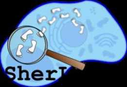 abi.inf.uni-tuebingen.de Sherloc