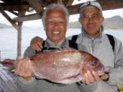 daiwakankou.jp Shikamoto